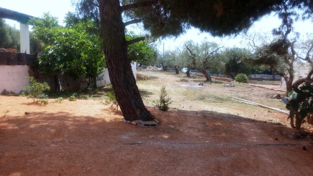 Villa "Posto Cantoro" Marina Di Pescoluse Oda fotoğraf