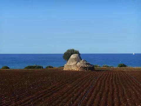 Villa "Posto Cantoro" Marina Di Pescoluse Oda fotoğraf