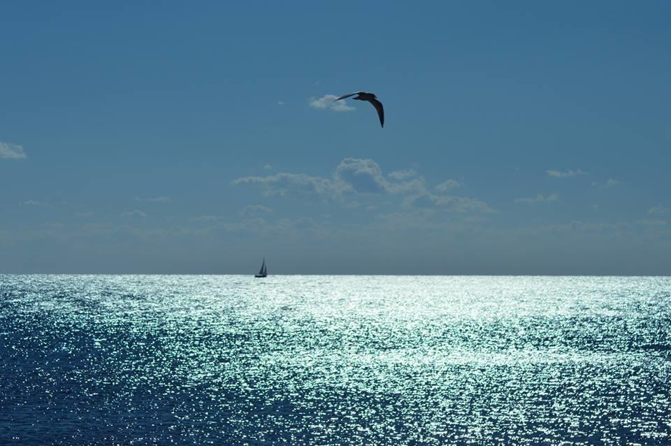 Villa "Posto Cantoro" Marina Di Pescoluse Oda fotoğraf